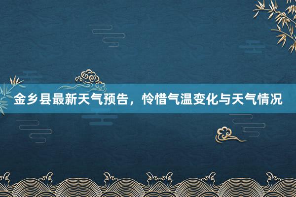 金乡县最新天气预告，怜惜气温变化与天气情况